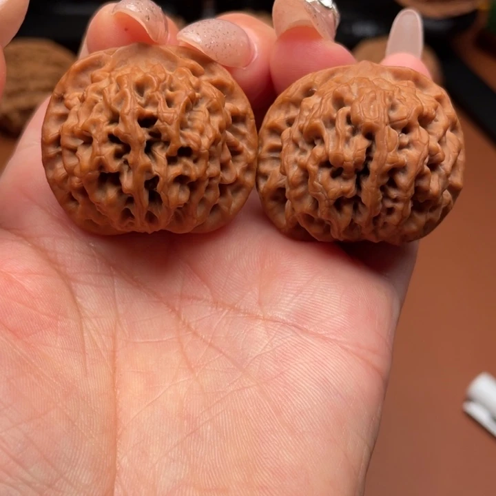 小***ꪶ香榧木秦核的一种新型的导弹武器系统