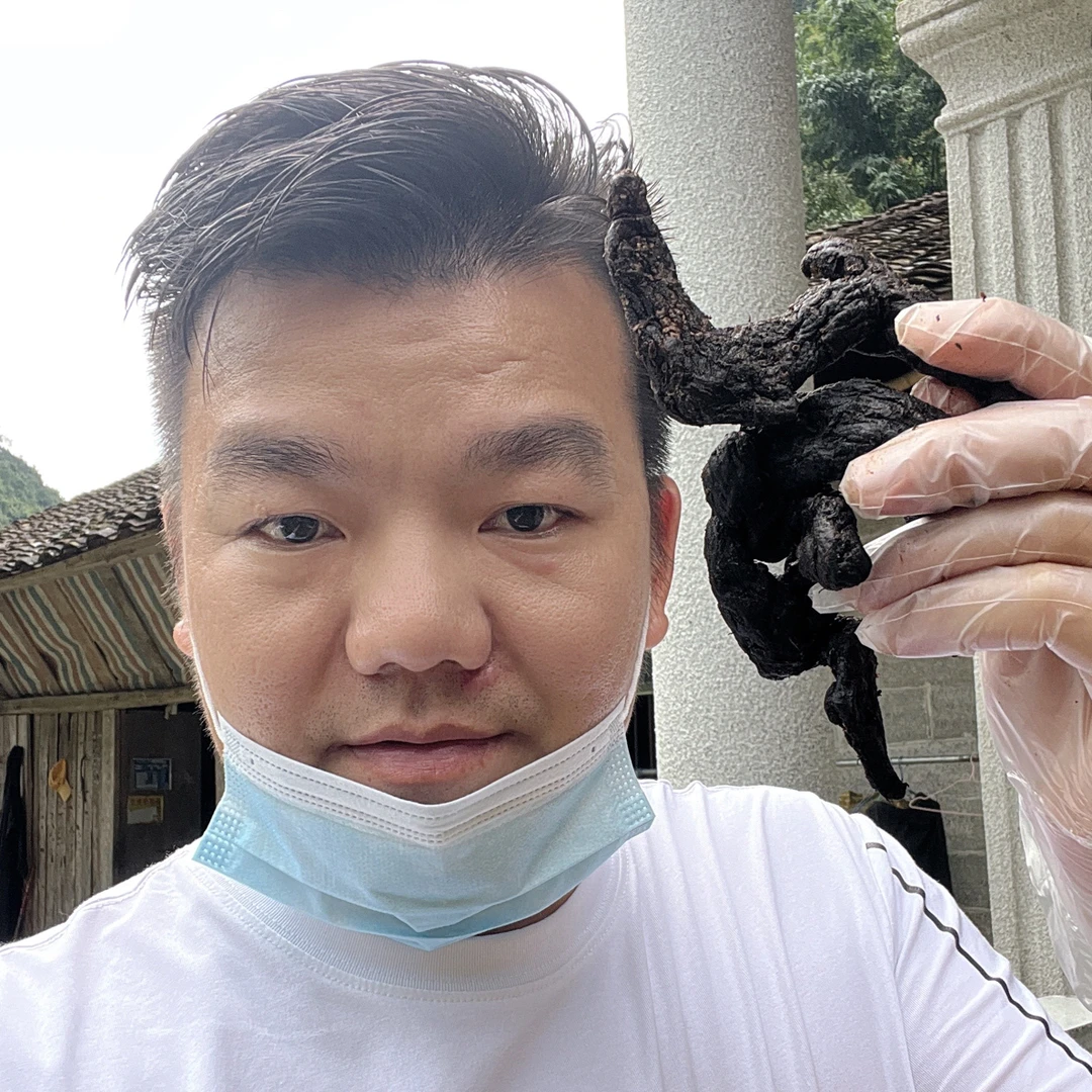 9蒸9晒救穷草野生仙人余粮老虎姜开袋即食煲汤煮水250克送50克