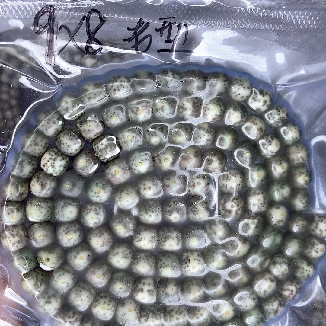 星月菩提手串星月