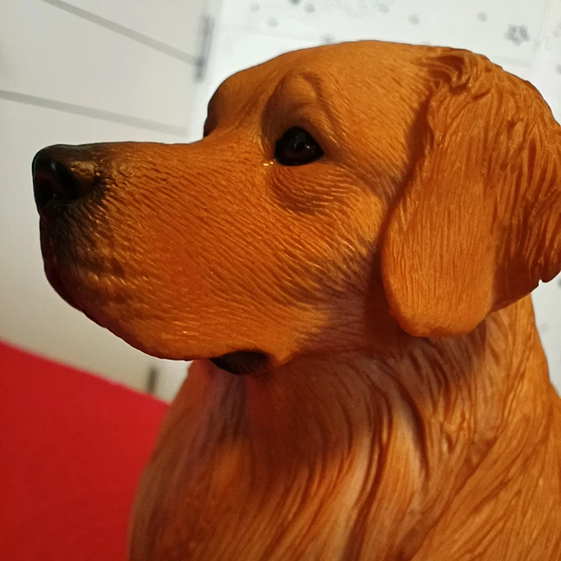 金毛寻回犬模型仿真狗狗儿童玩具认知动物猎犬桌面汽车装饰摆件
