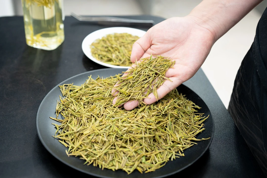 H38款黄金芽 25年新茶明前精品 黄金芽 栗香耐泡 安吉黄金芽