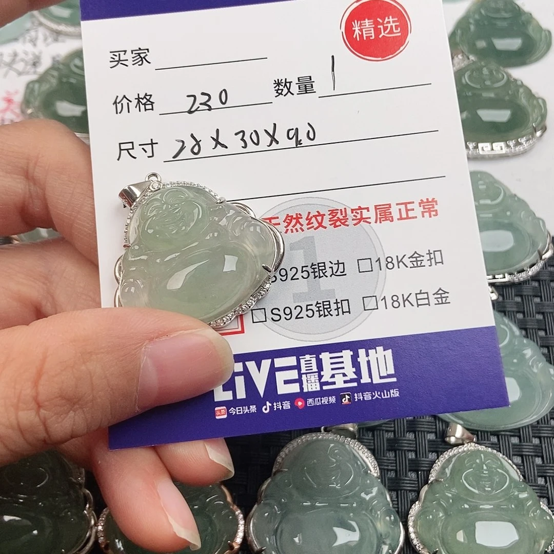 翡翠银S925镶嵌颈饰
