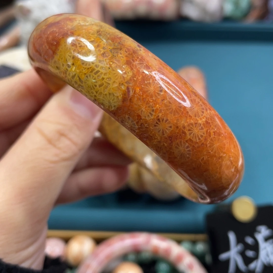 未镶嵌手镯硅化玉