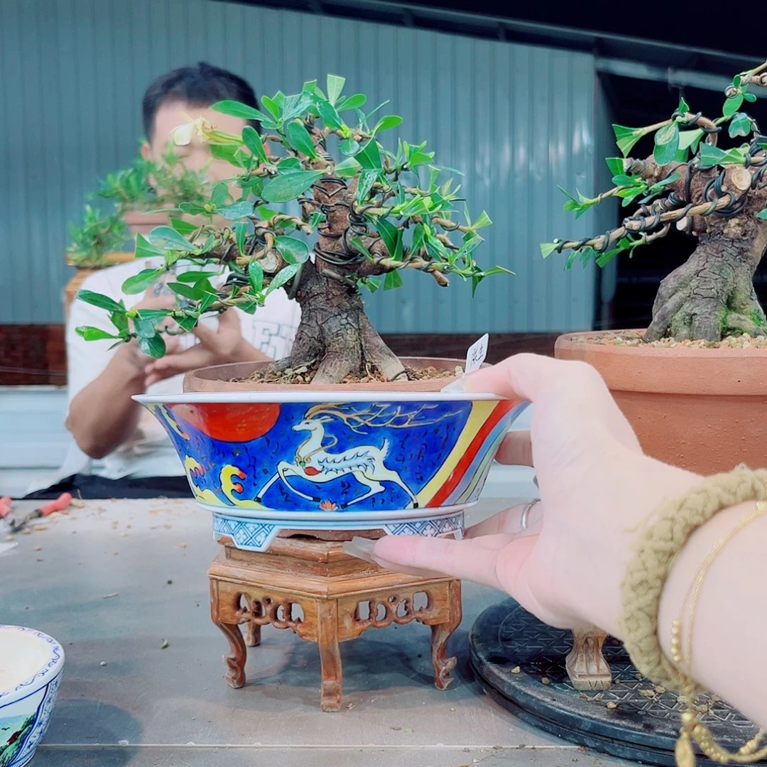 陈***生一路长虹手绘花盆