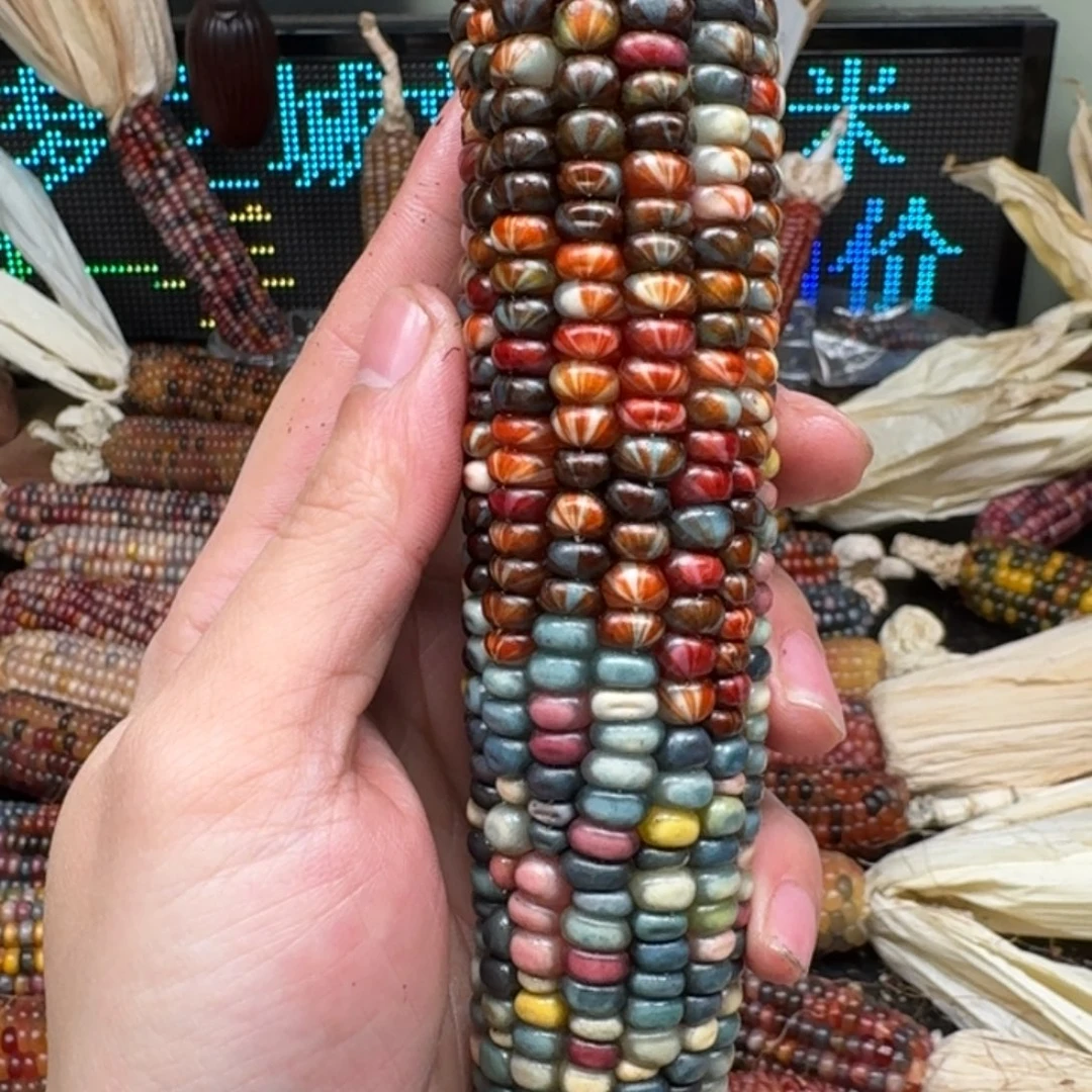 柏香籽/百香籽吊坠A