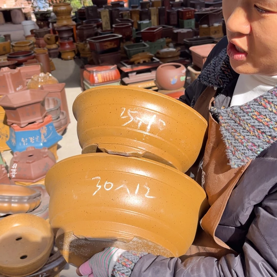 紫砂花盆盆景艺术