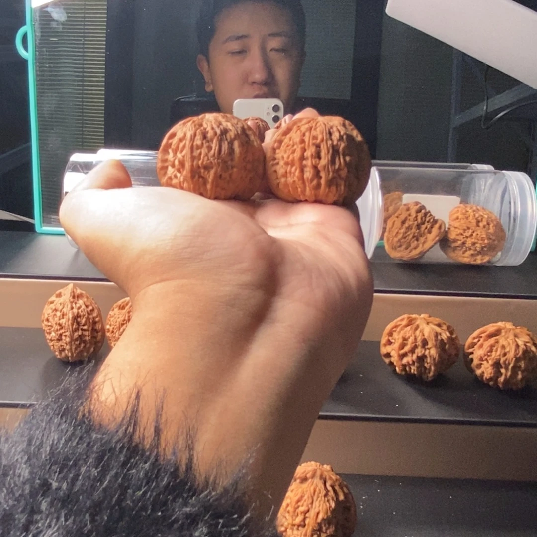 吊坠文玩核桃白狮子43