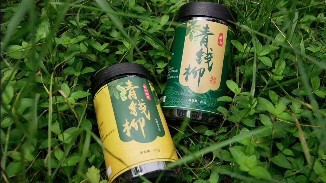 青钱柳天然高山营养50g罐装