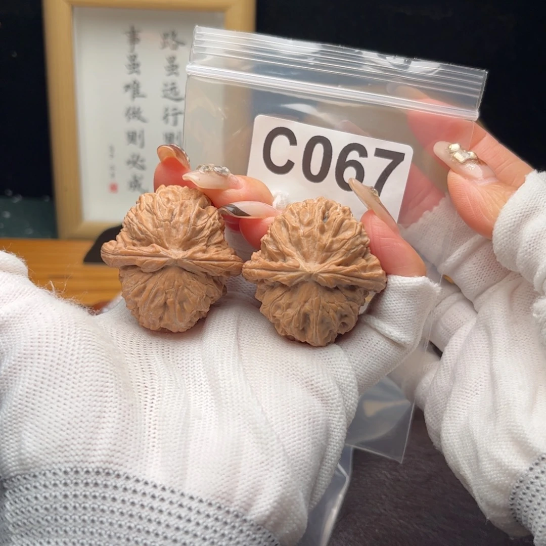 文玩核桃把件40白狮子c067