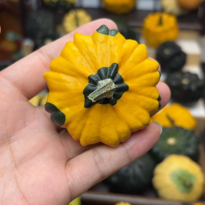 狼****福利福利福利福利