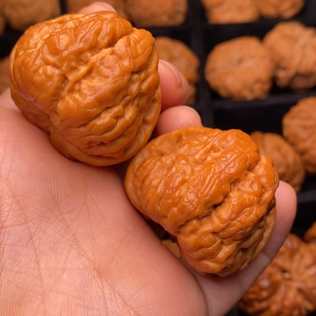 秦岭野生文玩核桃