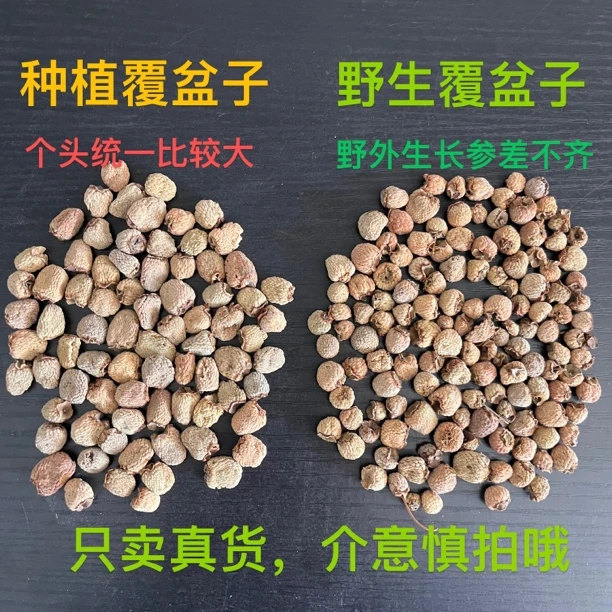 覆盆子 浙江大山里采集覆盆子无发霉无硫熏晒干250g包邮非山药