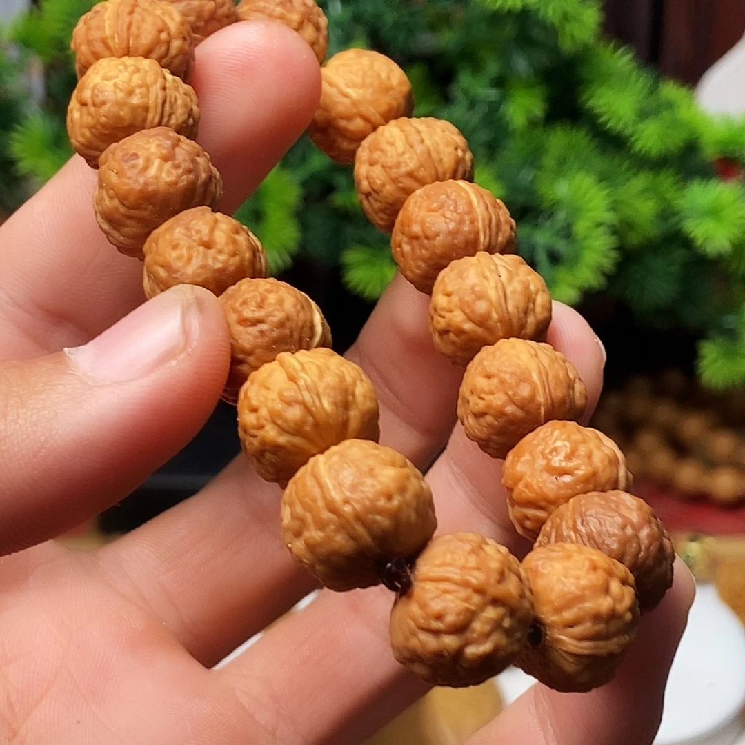 志***国橄榄核手串/手链nnbbhhhjjjjnnnnnnnnnnnn