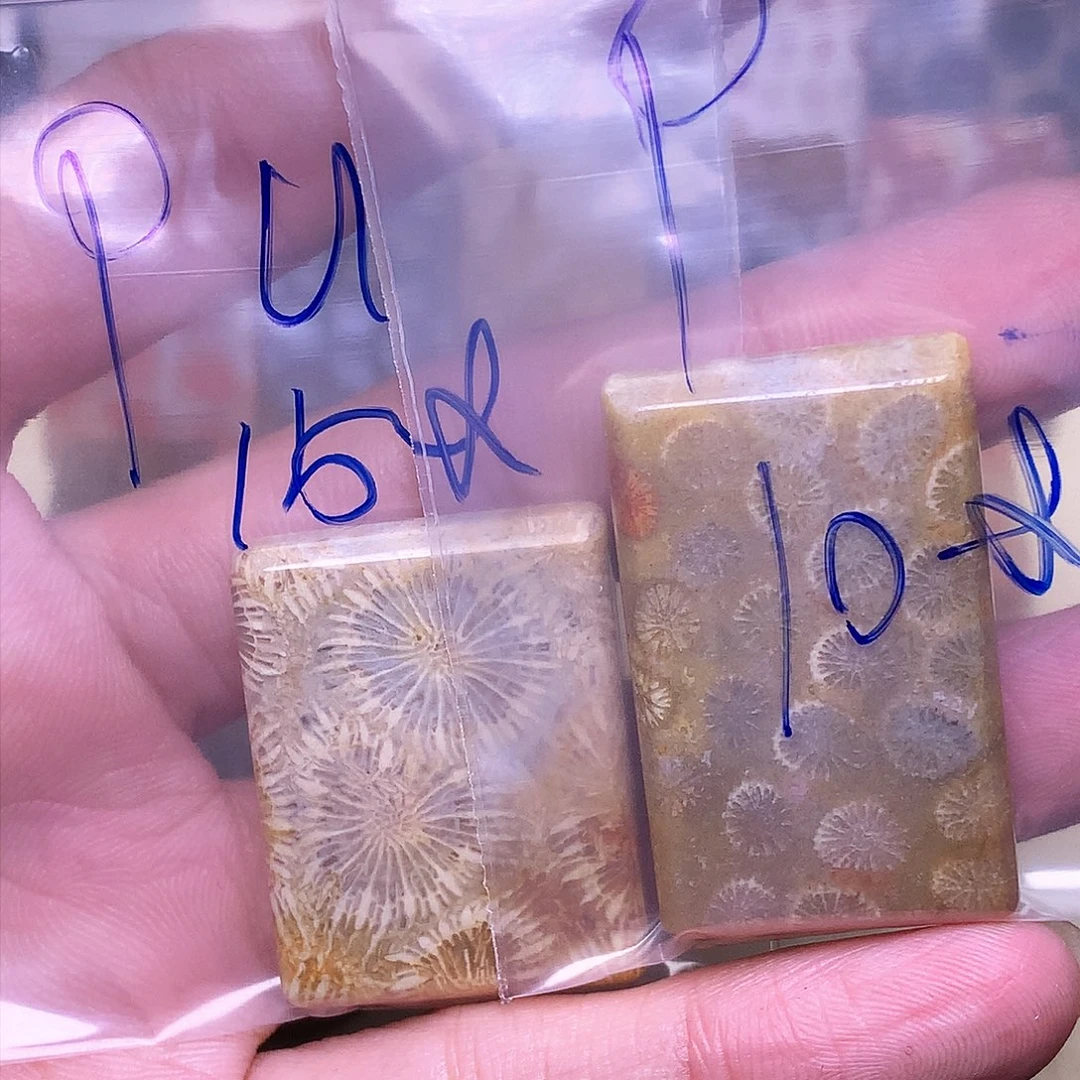 硅化玉珠宝奇石合金p**s