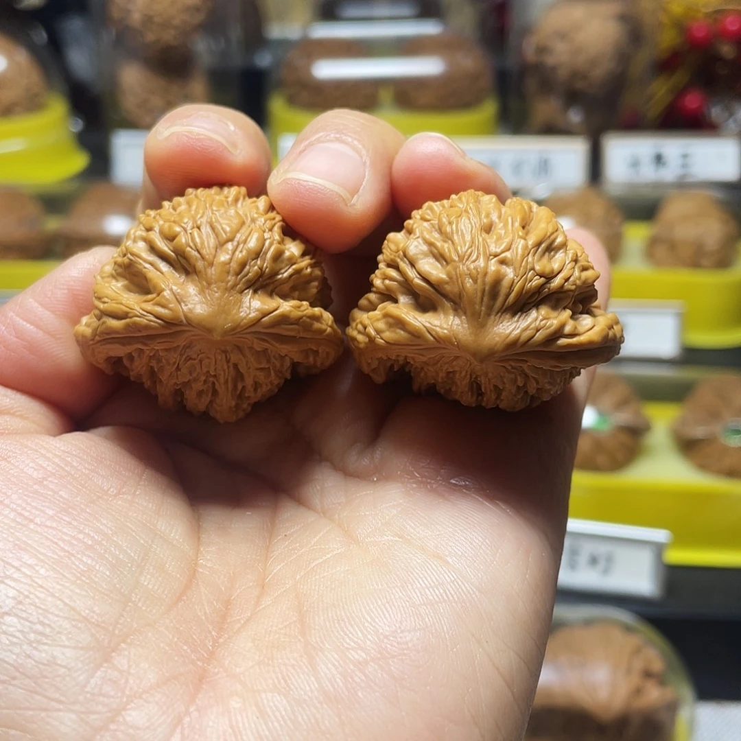 木质类虎头蛇36全品88988