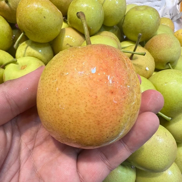 ［酥脆甜］云南【蜂糖梨】爆汁香甜细腻无渣（12.8元一斤）