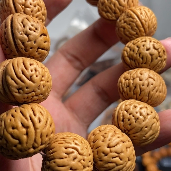 菩提根/象牙果吊坠射*座今天