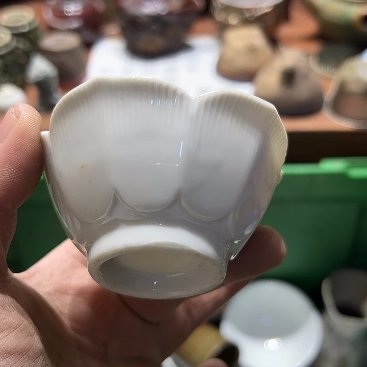 瓷片555555555555555