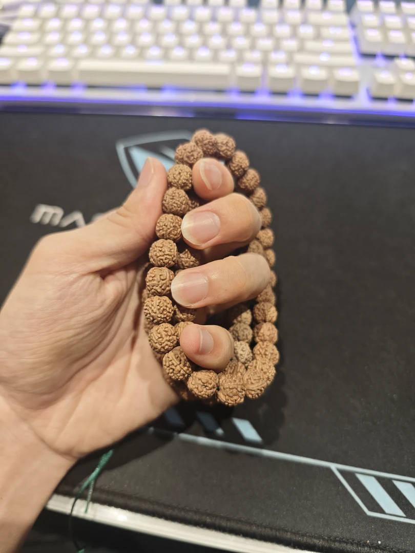 一代龙小金刚9mm高桩龙脊突出连贯