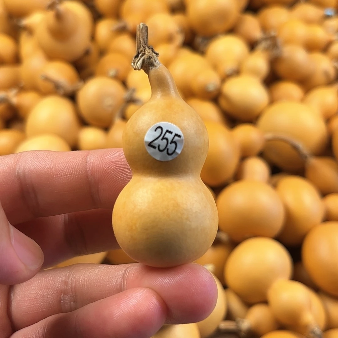 三葫芦葫芦葫芦255