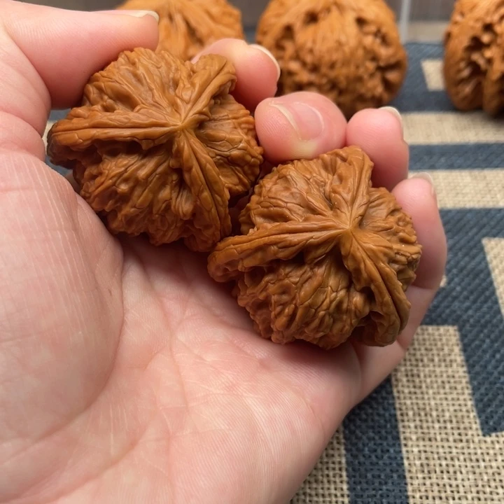 初***一核桃白狮子39核桃