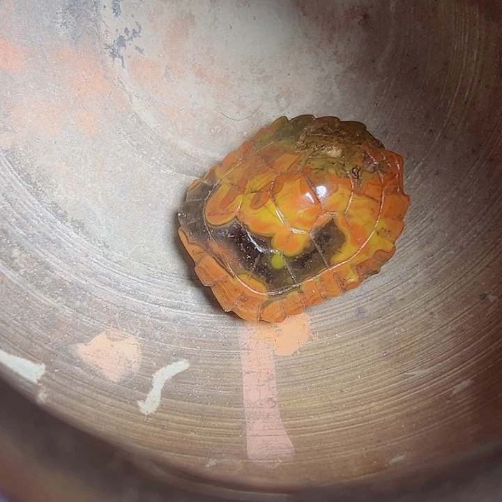 长款小**刀你好你好你好你好你好