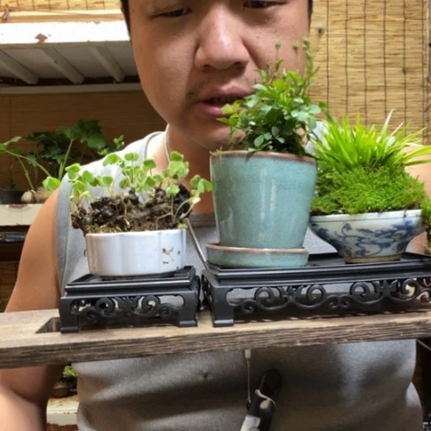 红陶一物一拍所见即所得243