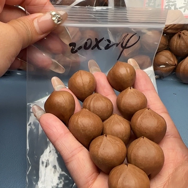 手串橄榄核橄榄核