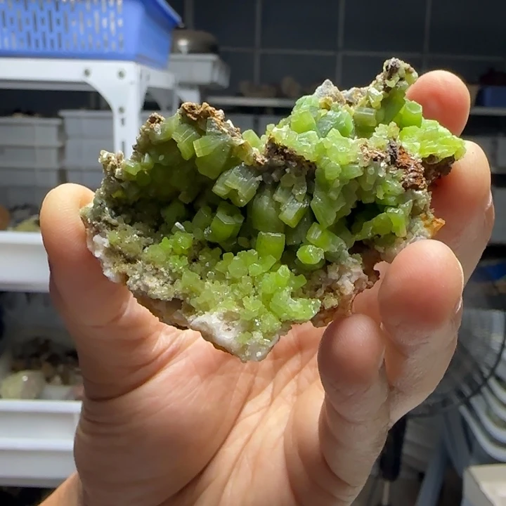 昌化石印石S**.原石料