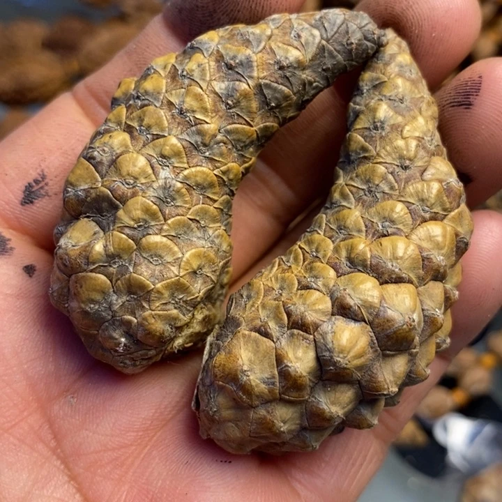 桃核吊坠拿姐工艺181