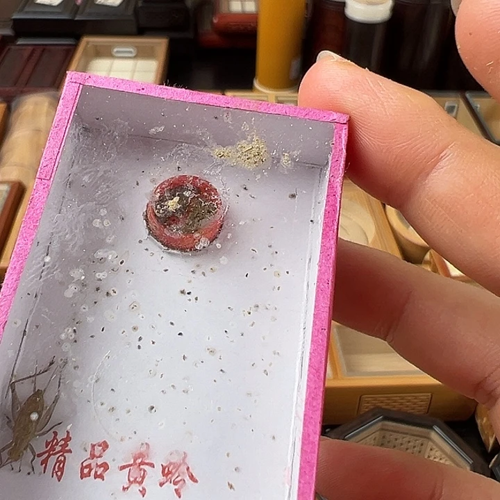 仅一天鸣虫2元开始包邮