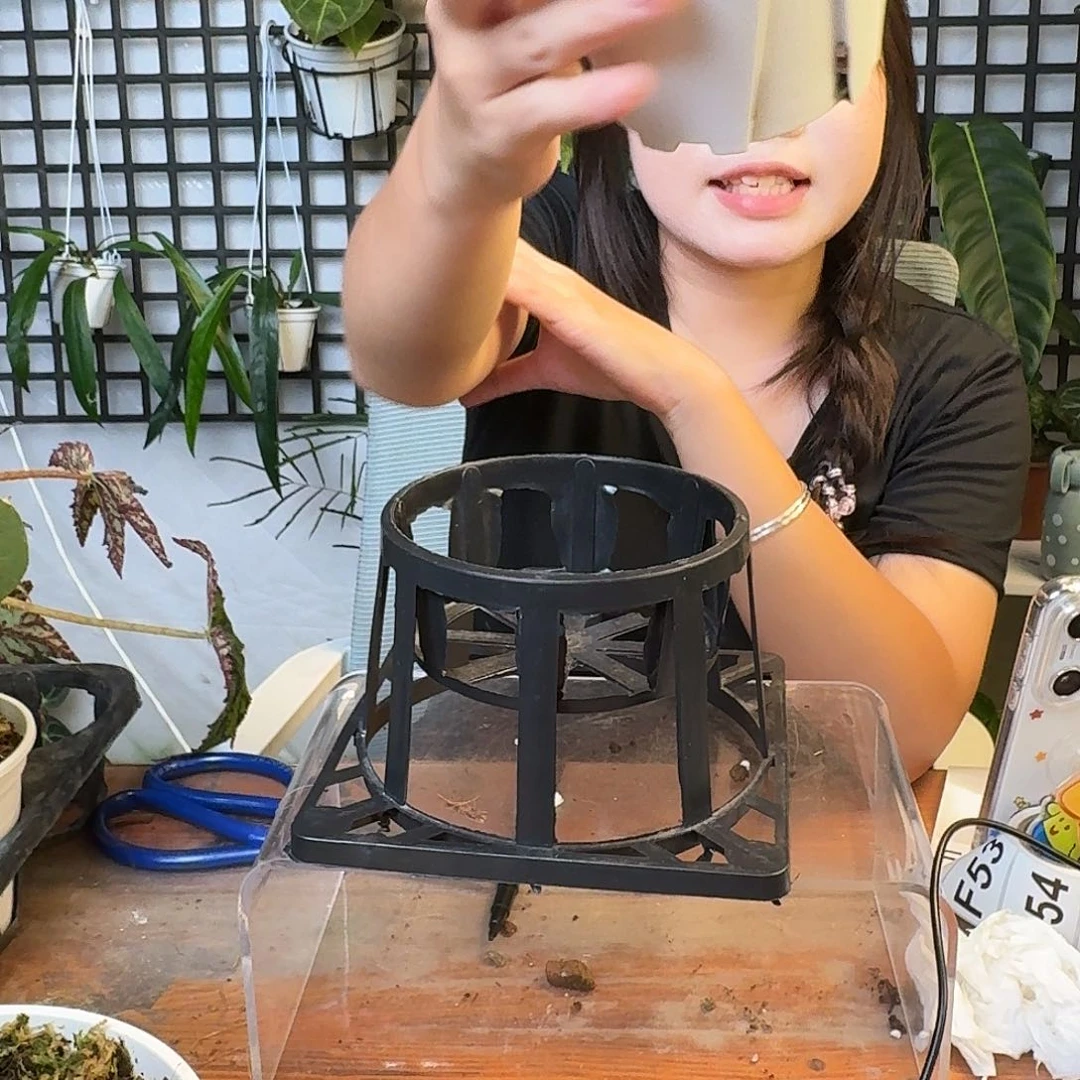 无花朵T****）一物一拍F50