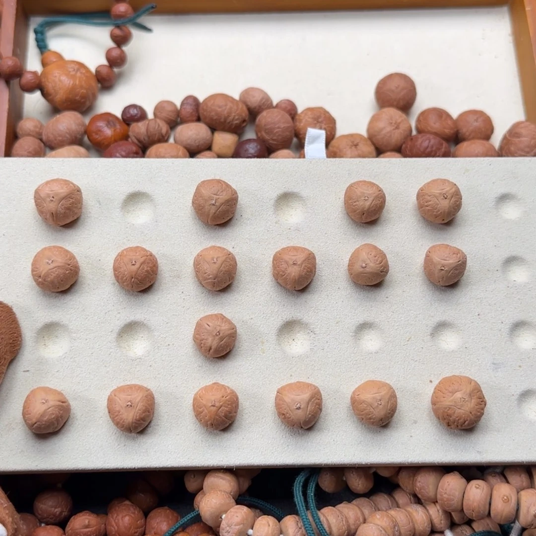 凤眼菩提吊坠劉凤眼菩提