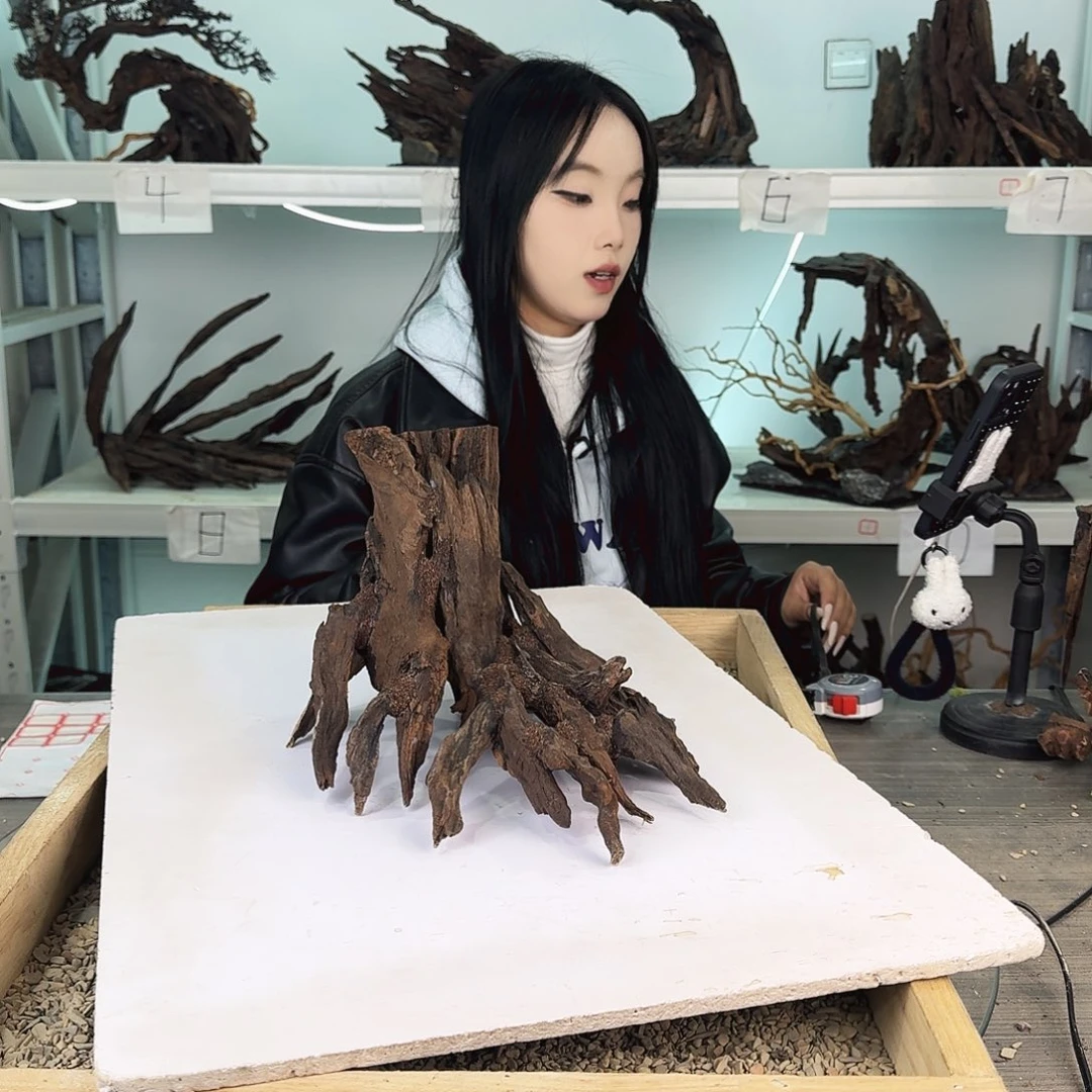 用***8沉木造景沉木造景