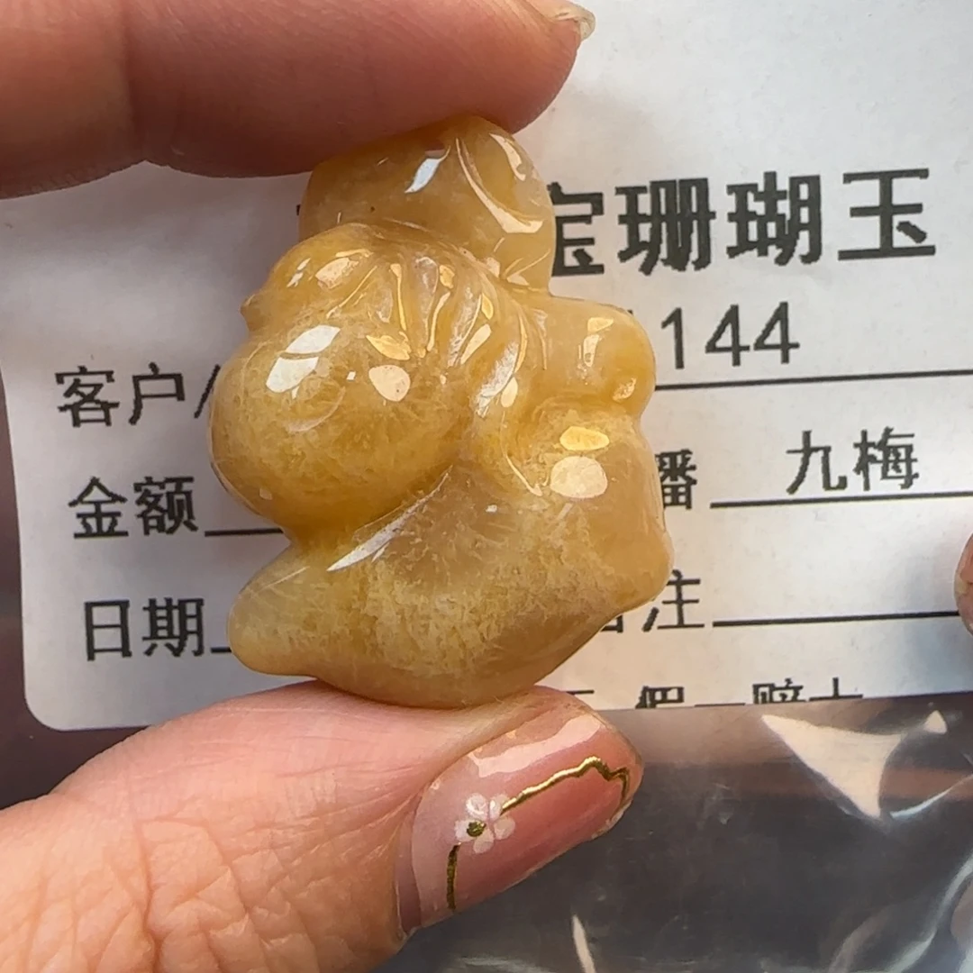 硅化珊瑚（珊瑚玉）未镶嵌颈饰