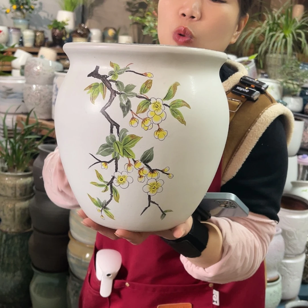 红陶高度22口径20