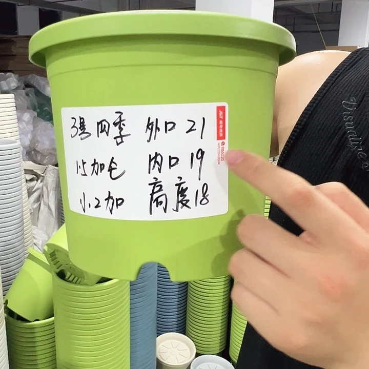 特价3号口21高18果绿带托10只