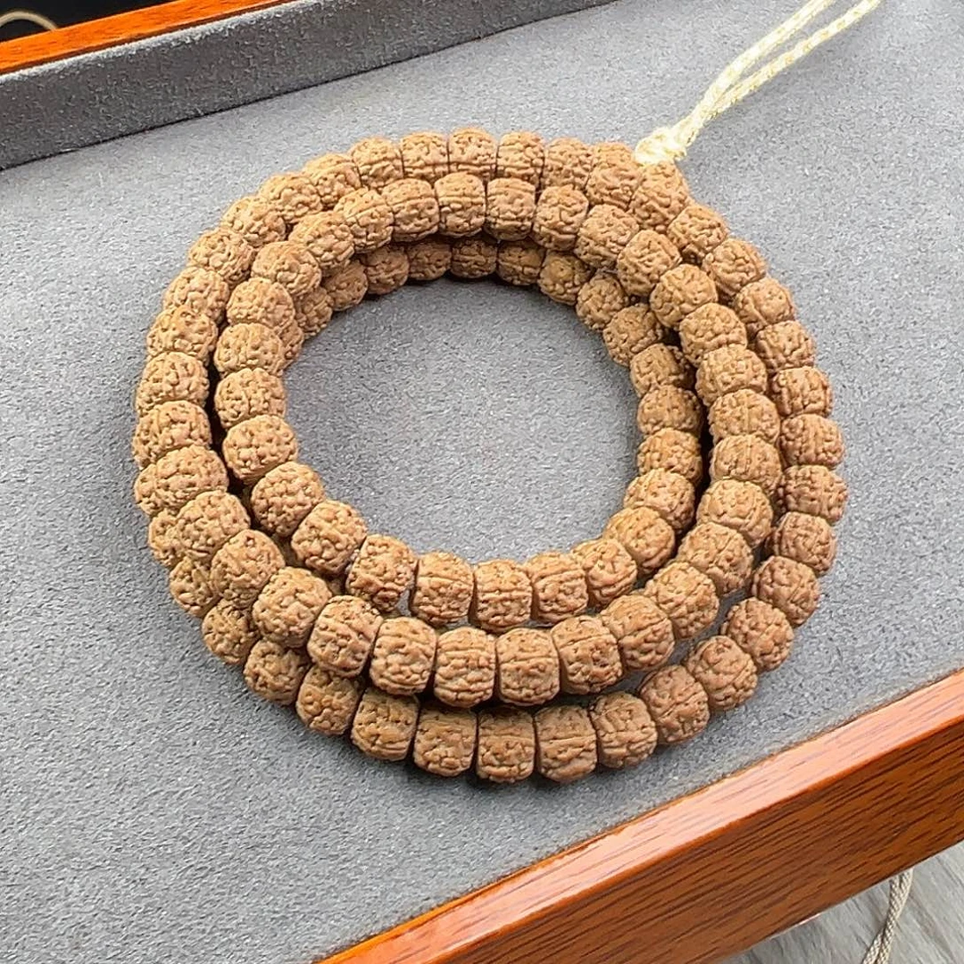 X***。金刚菩提吊坠一代龙