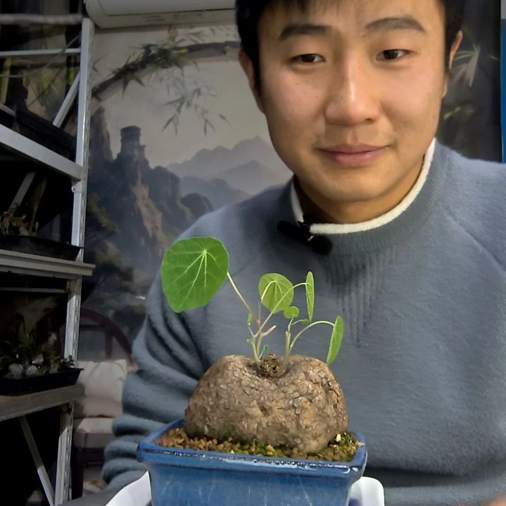 微***儿中青园艺一物一拍花452