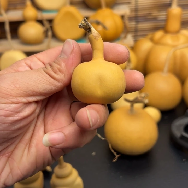 ?**前55666566655588