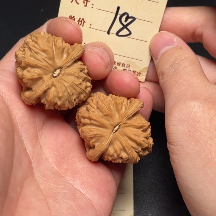 文玩核桃把件白狮子38尺全品白茬18