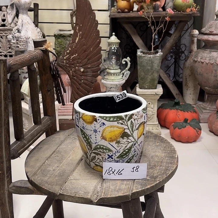 539柠檬盆11111111