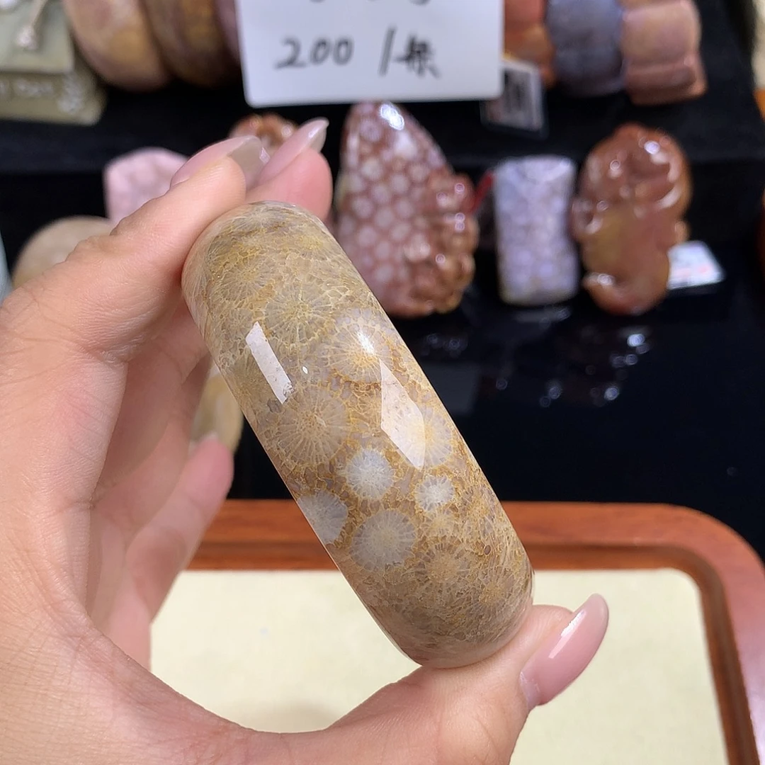 吊坠(赠链)未镶嵌硅化珊瑚（珊瑚玉）22号大眼睛55.5