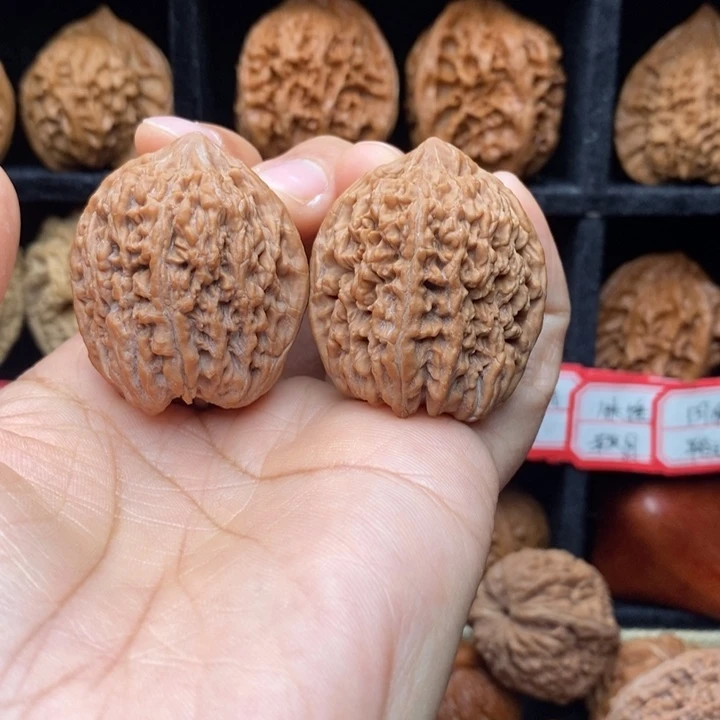 边***缘核桃福利大蒜头36尺全品