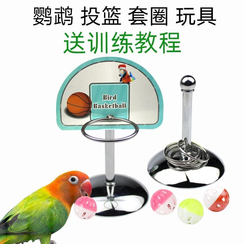 鹦鹉投篮套圈玩具篮球比赛道具虎皮牡丹玄凤技能训练互动亲人解闷