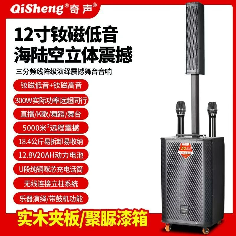 12寸广场舞唱歌K歌网红直播声卡户外音响专业演出会议蓝牙大功率