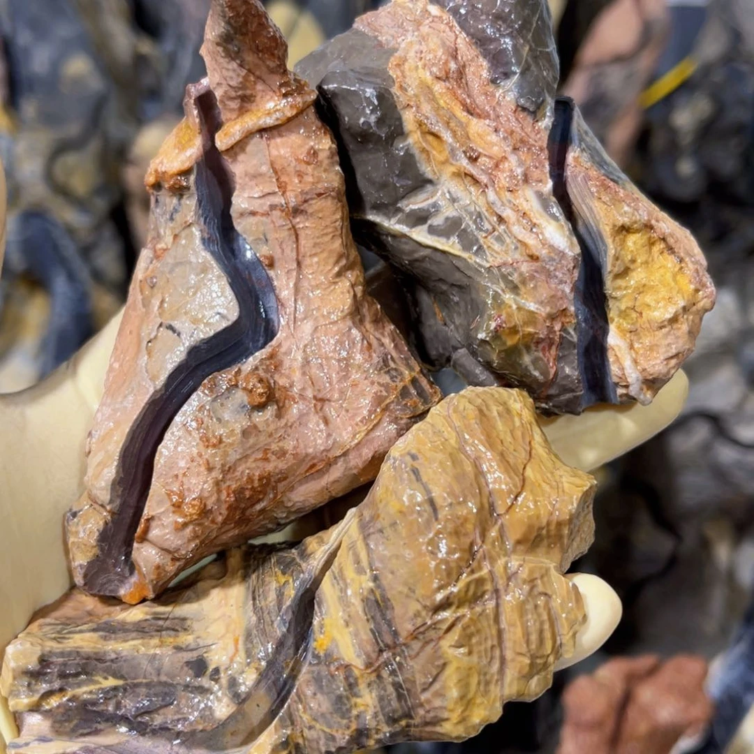 x****塗附石盆景一物一拍