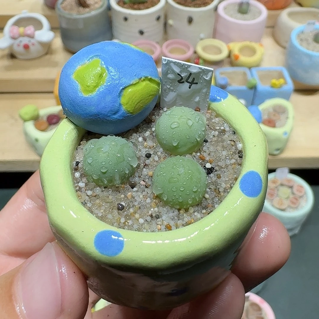 红陶蘑菇590鸽子蛋