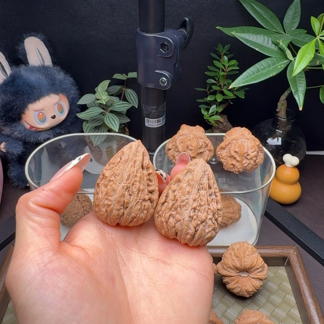 把件龙脊菩提全品原树一代正版坐佛34