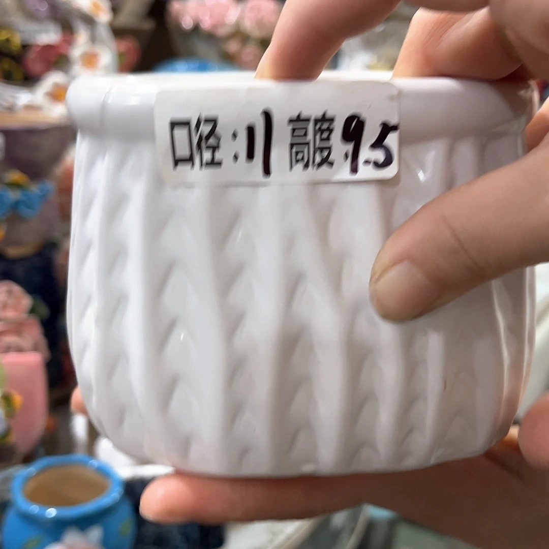 【闪购商品】红陶福利